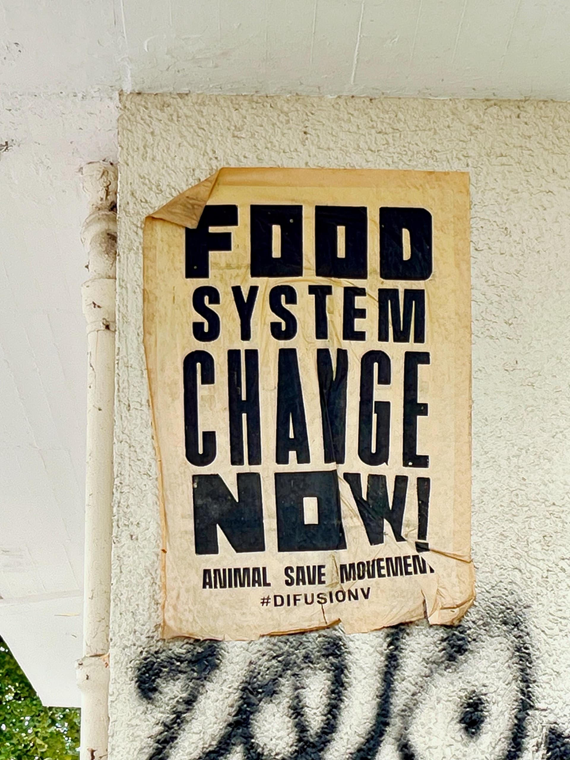 To feed the generations to come, we need alternative farming solutions. In face of climate uncertainty, food insecurity, and supply chain disruptions, we want to redefine how to produce and consume food.